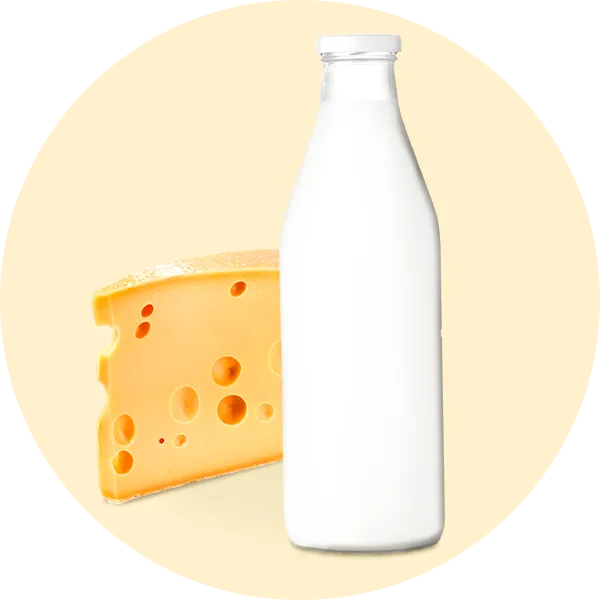 Produits laitiers, oeufs, fromages