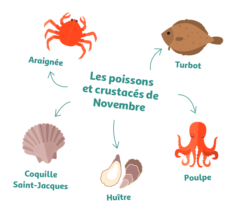 Les poissons
et crustacés de novembre : araignée, turbot, poulpe, huître, coquille Saint-Jacques