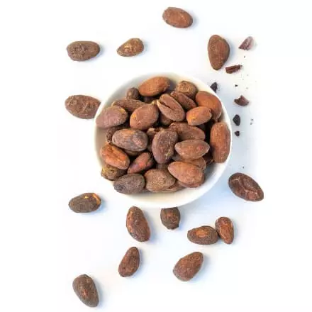 photo de la fève du cacao