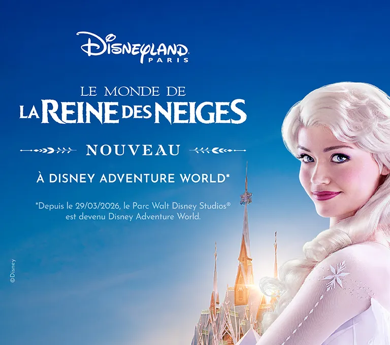 Billets pour Disneyland® Paris