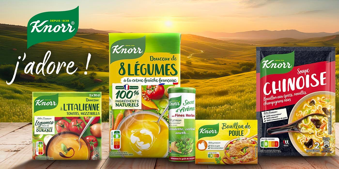 Knorr