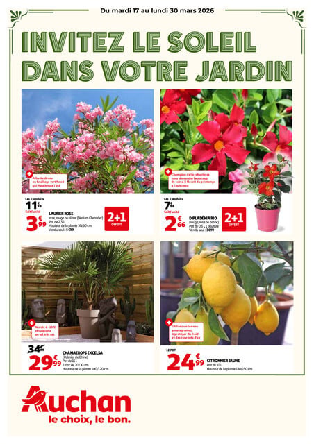 Invitez le soleil dans votre jardin