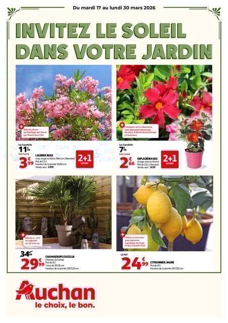 Invitez le soleil dans votre jardin