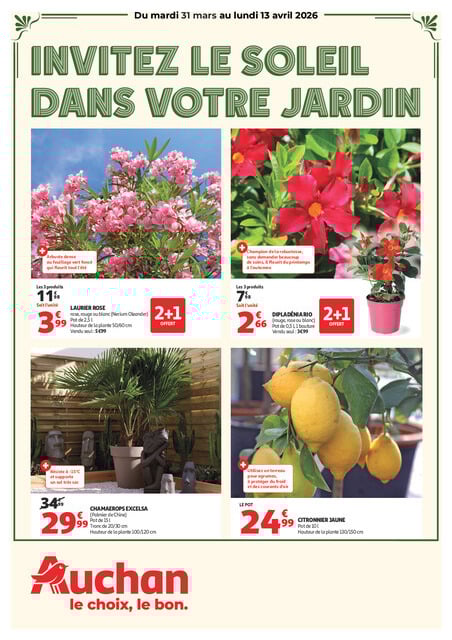 Invitez le soleil dans votre jardin - 8P