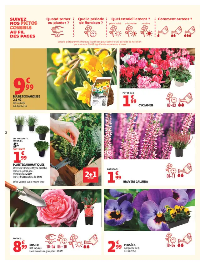 Page catalogue
