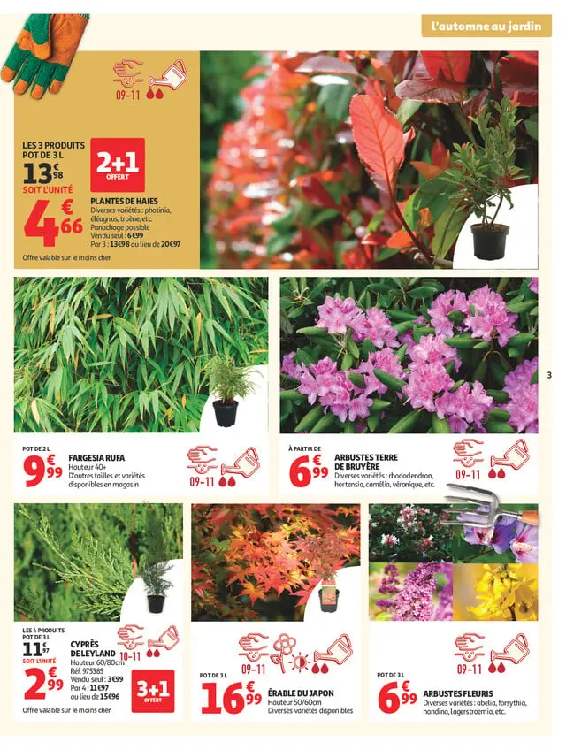 Page catalogue