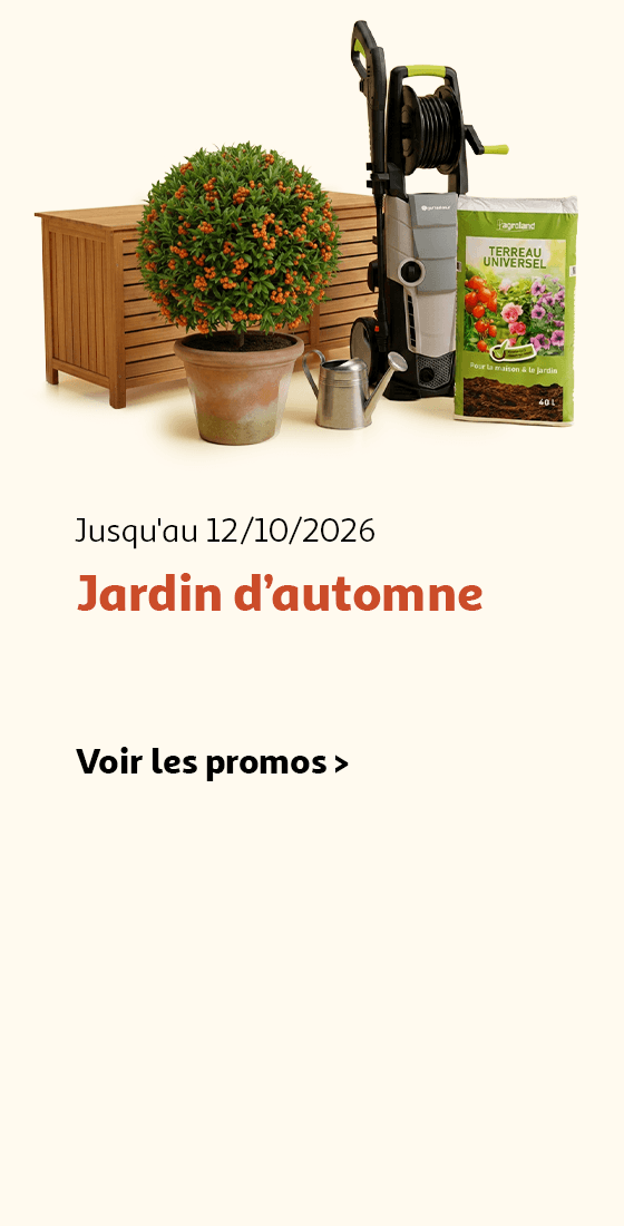 Jusqu'au 12/10/2026 : Jardin d'automne