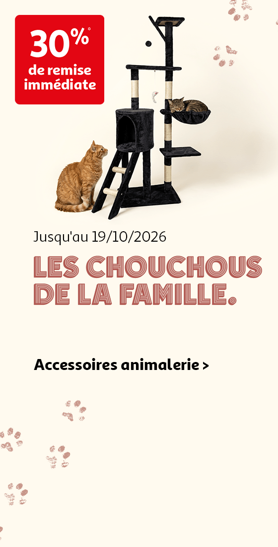 Jusqu'au 19/10/2026,  Les chouchous de la famille. Accessoires animalerie