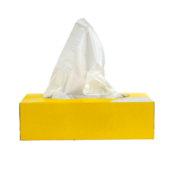 Mouchoirs, protections hygiéniques, petite parapharmacie