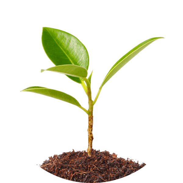 Nos engagements Auchan