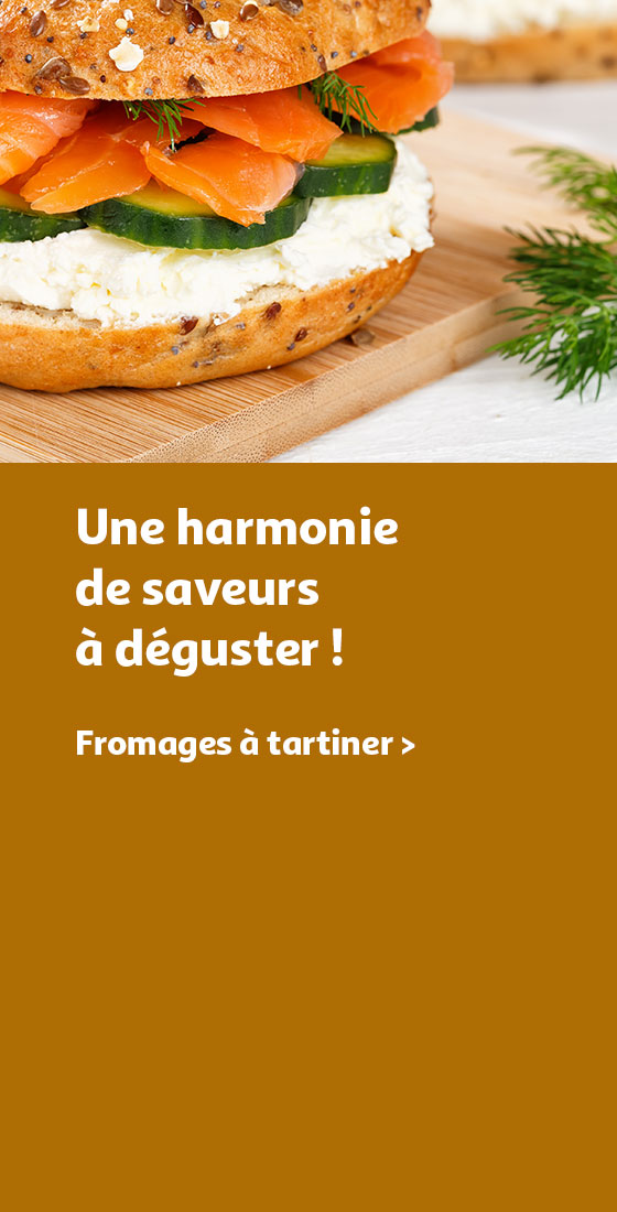Fromage à tartiner