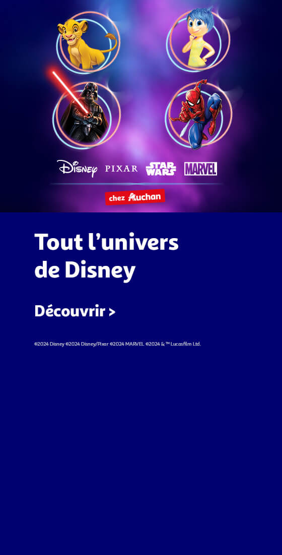 Découvrir tout l'univers de Disney