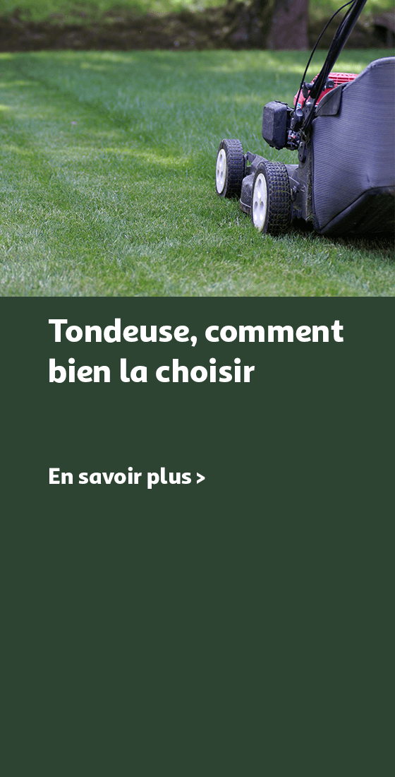 Tondeuses, comment bien les choisir ?