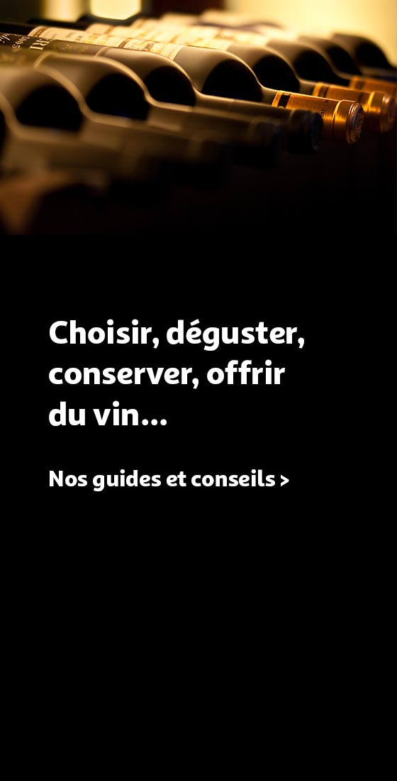 Choisir, déguster, conserver, offrir du vin.. nos guides et conseils