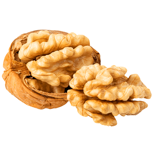 Fruits secs, graines