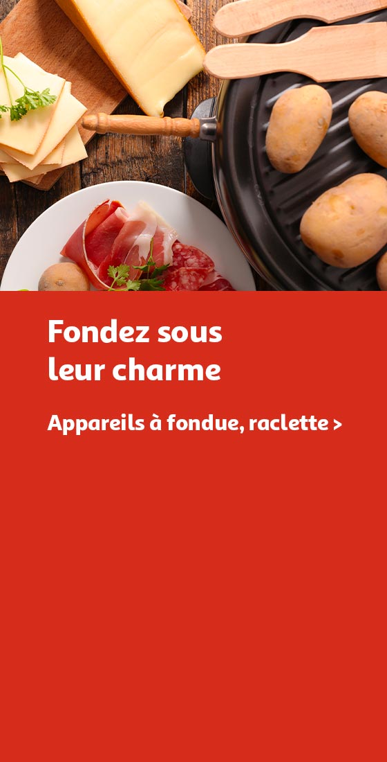 Appareils à fondue, raclette