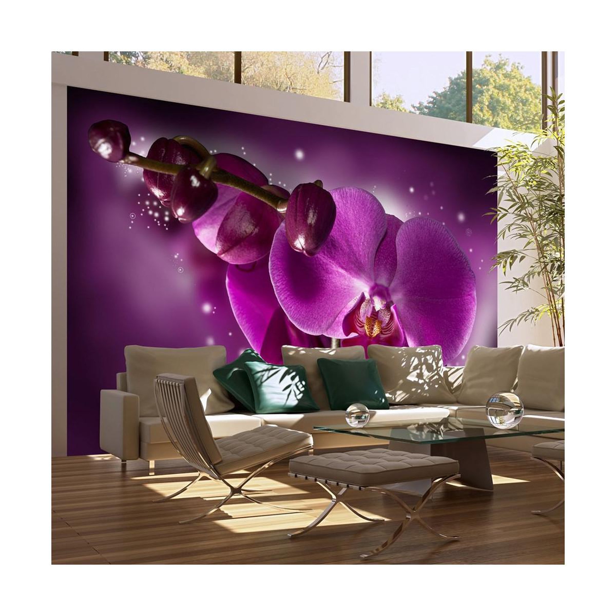 Paris Prix Papier peint  conte & orchidée  270x450cm