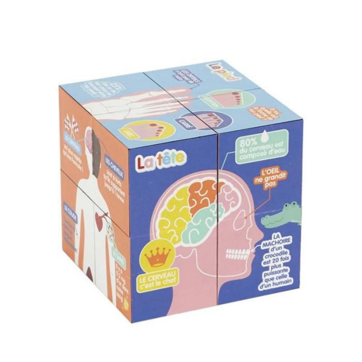 Paris Prix Cube Educatif  Corps Humain  7cm Multicolore