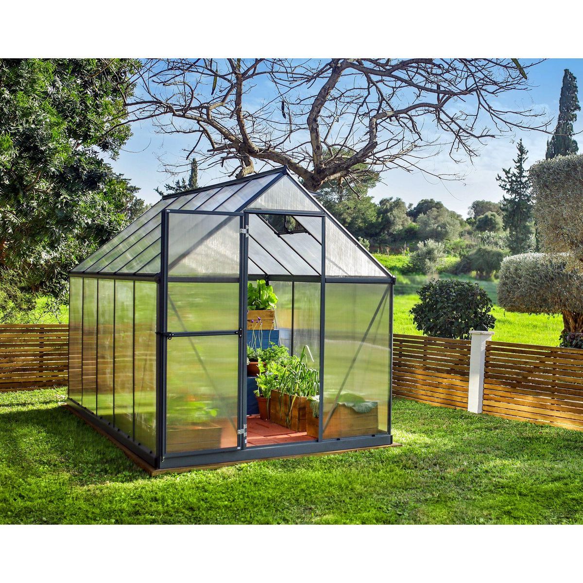 Canopia by PALRAM Serre de jardin polycarbonate Mythos 6x10 m Grey