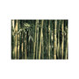 Voir la diapositive 2 : Paris Prix Papier Peint  Bamboo Exotic