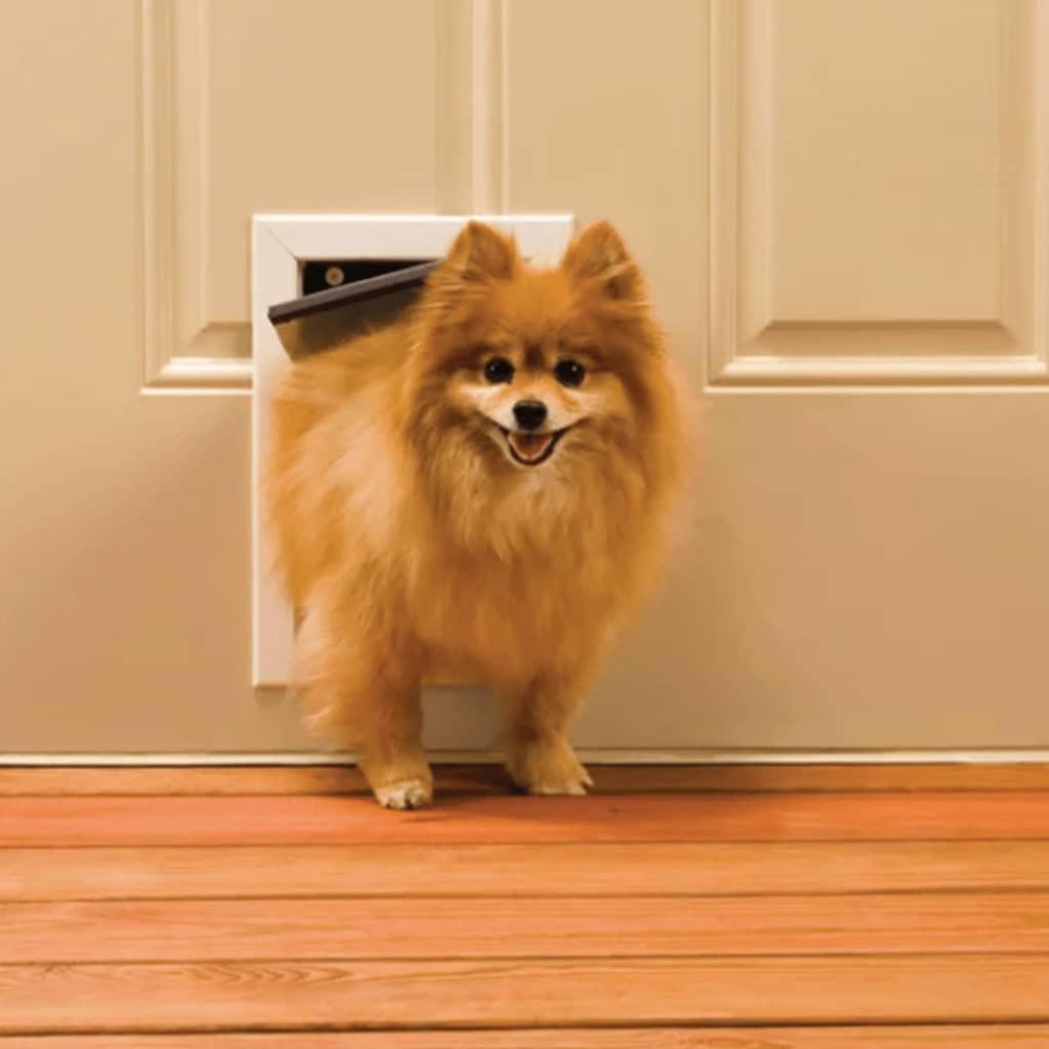 Voir la diapositive 3 : PETSAFE PetSafe Chatiere pour animaux de compagnie 600 Aluminium <7 kg 5013