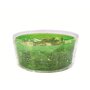 Zyliss Essoreuse à salade 26cm - ze940013