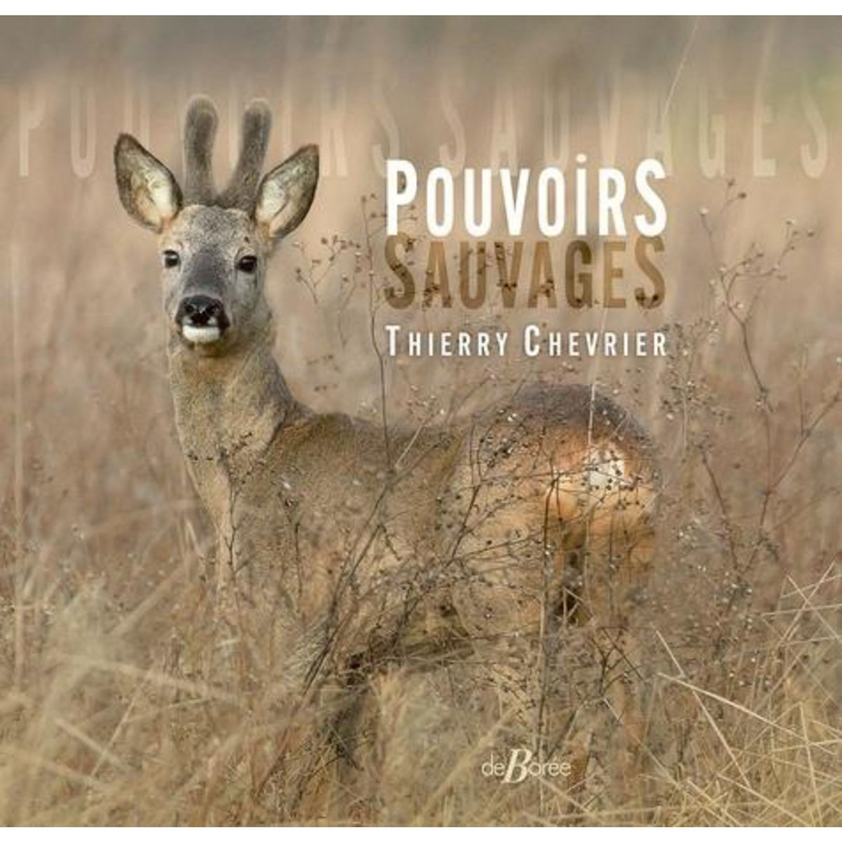 POUVOIRS SAUVAGES, Chevrier Thierry