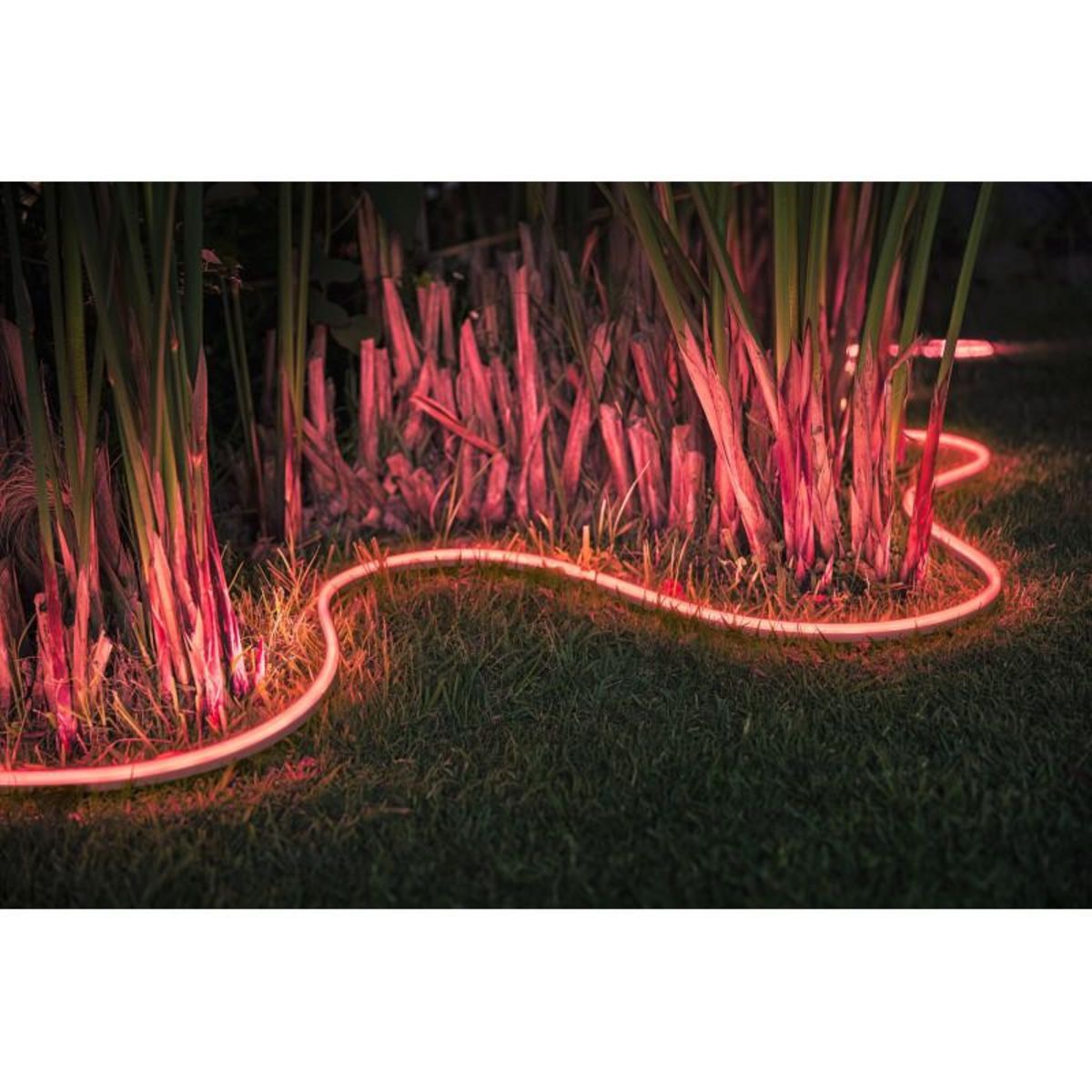 PHILIPS HUE MAISON CONNECTEE PHILIPS HUE HUE-LIGHTSTRIP-5M