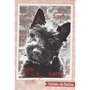 Hamelin Cahier de texte 188 pages 70 g 16 x 22 cm Chipie - Tête de chien