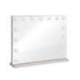 Voir la diapositive 1 : LIVOO Miroir lumineux 24w gris - DOS207