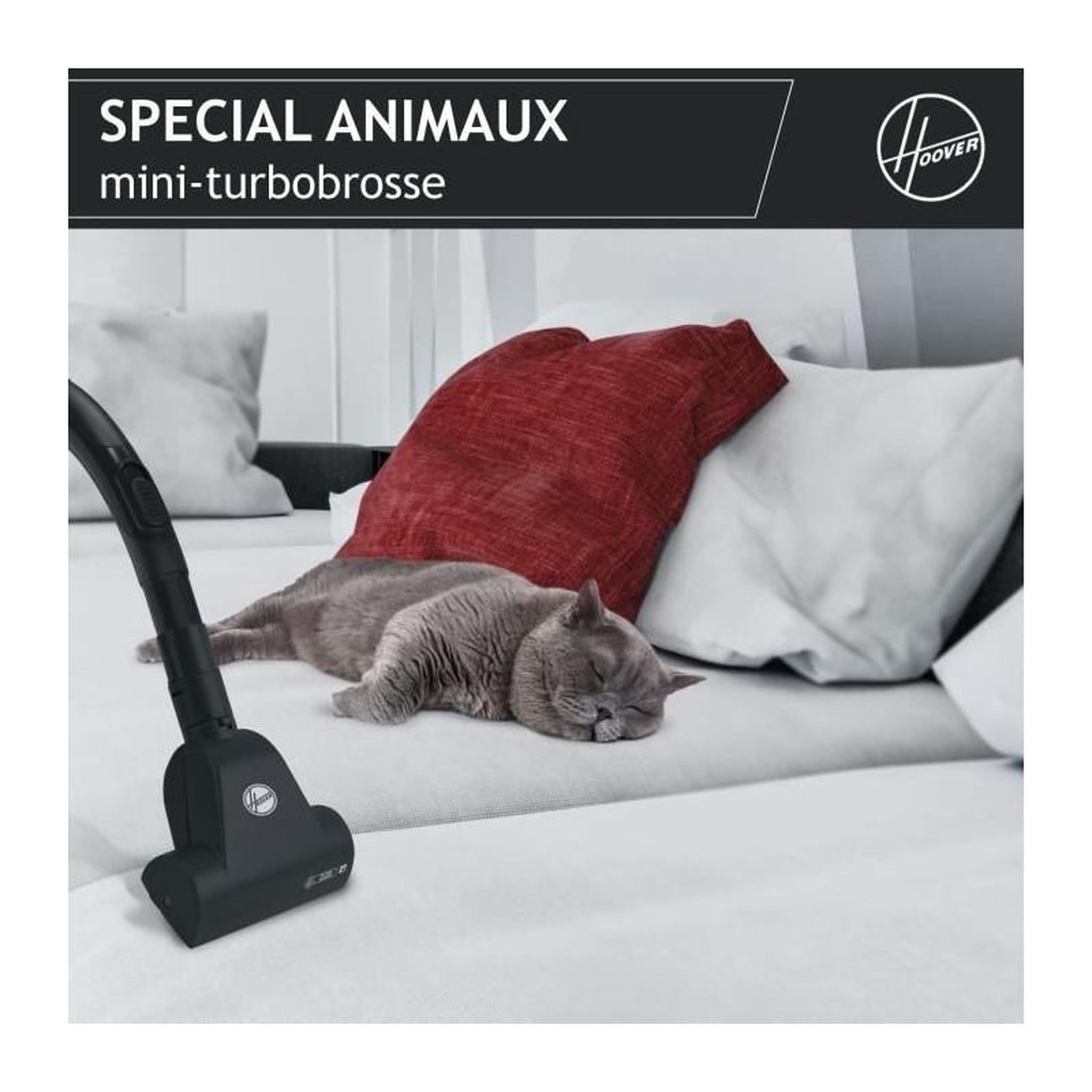 Voir la diapositive 6 : HOOVER Aspirateur Traineau Sac - HOOVER Telios Extra TXL20PET - 700 W - 3,5 L - 69 dBA - Spécial Animaux
