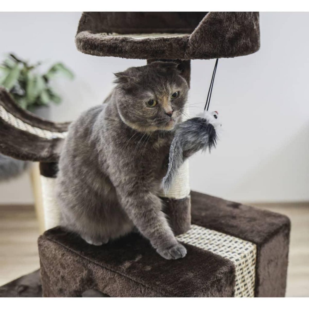 KERBL Kerbl Arbre a chat Safari Big 122 cm Marron fonce