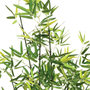 Voir la diapositive 2 : ATMOSPHERA Plante Artificielle  Bambou  122cm Vert