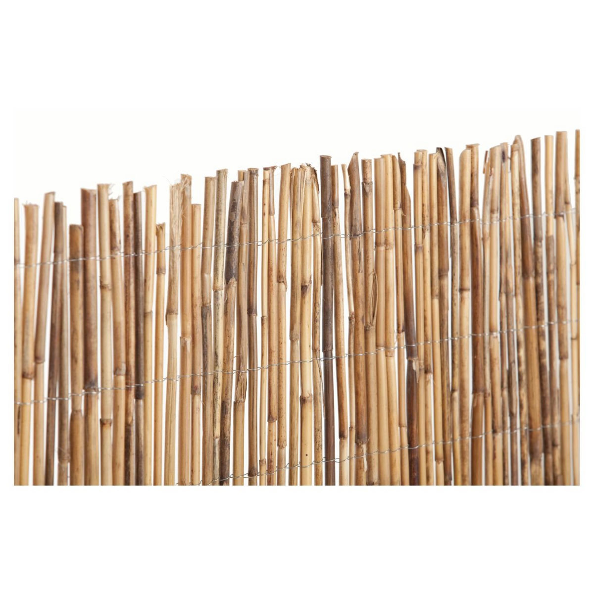 Catral Canisse bambou 2m x 5m