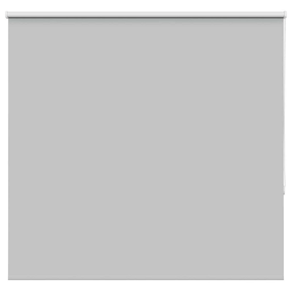 VIDAXL Store enrouleur occultant largeur du tissu 141,6 cm polyester