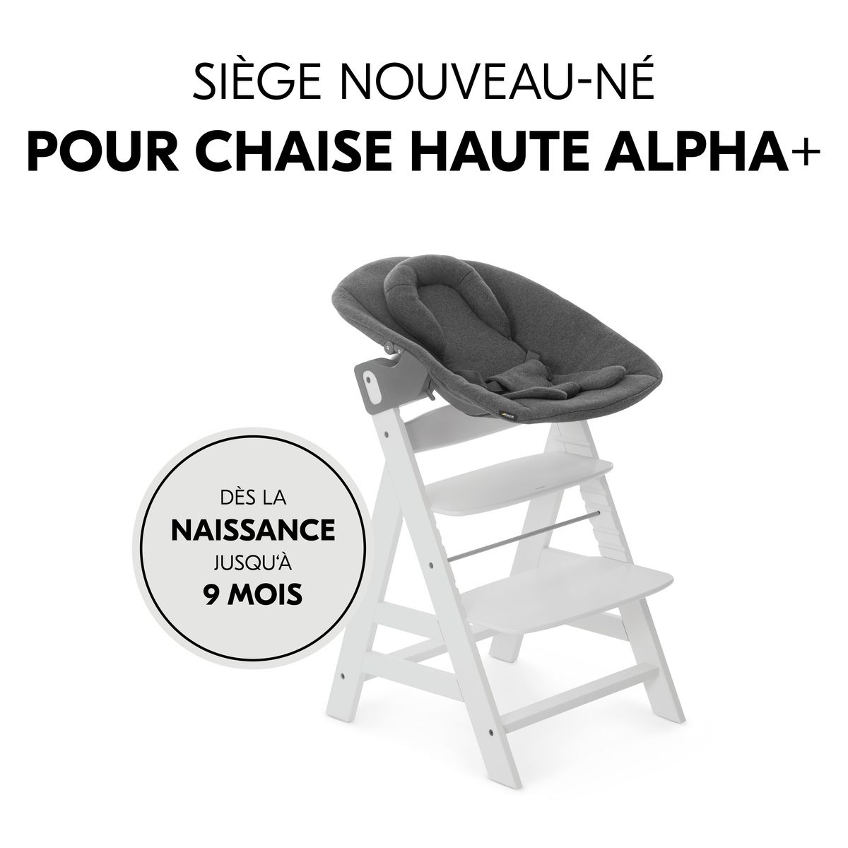 HAUCK Transat Alpha Bouncer Premium