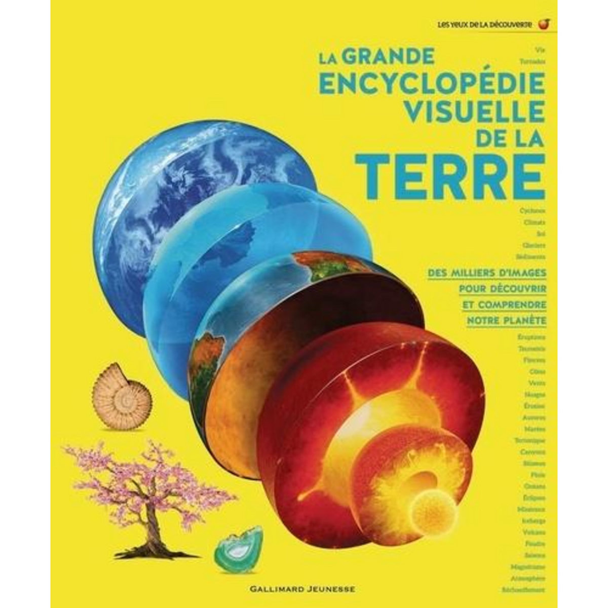 LA GRANDE ENCYCLOPEDIE VISUELLE DE LA TERRE. DES MILLIERS D'IMAGES POUR DECOUVRIR ET COMPRENDRE NOTRE PLANETE, Barnes Joseph