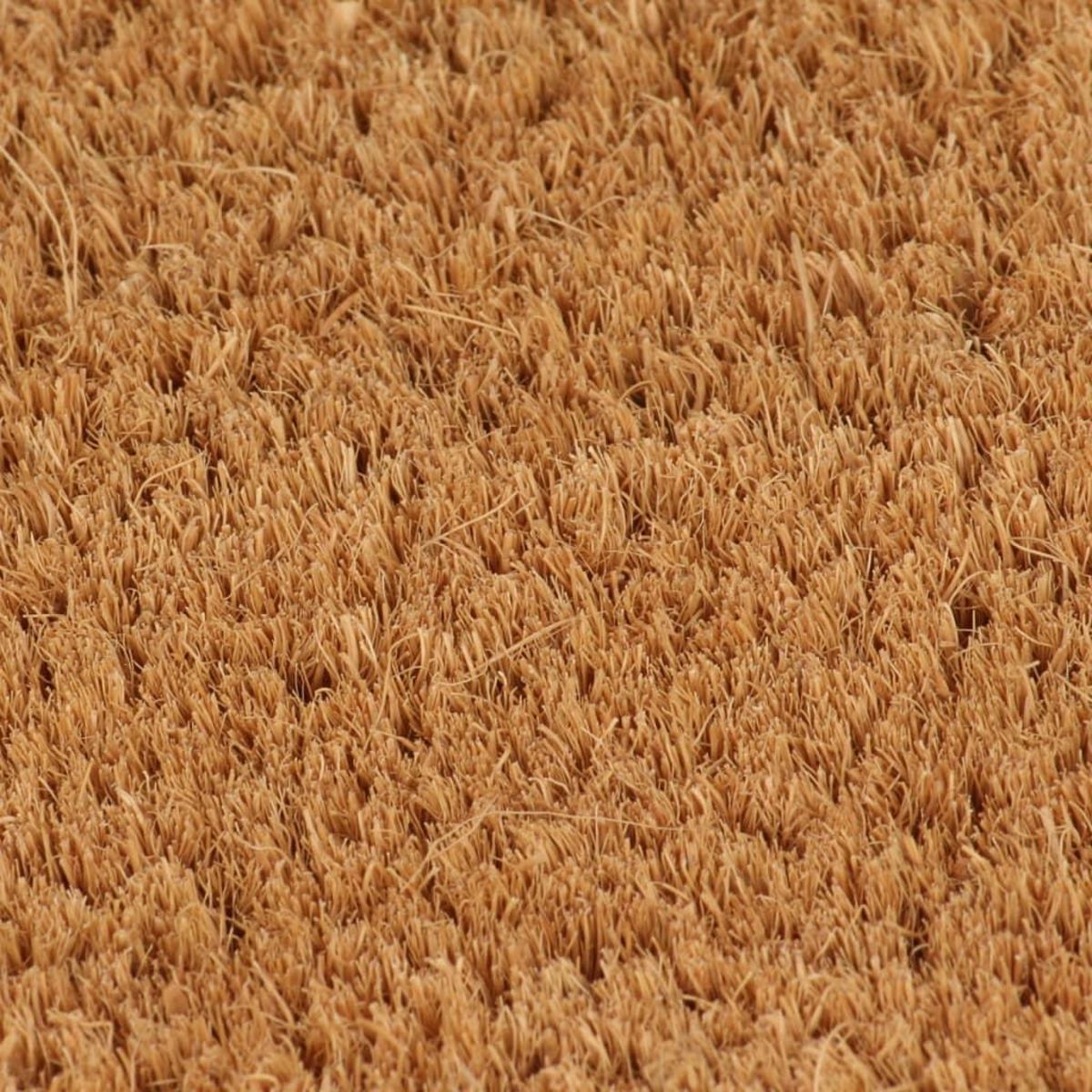 VIDAXL Tapis de porte naturel 65x100 cm fibre de coco touffete