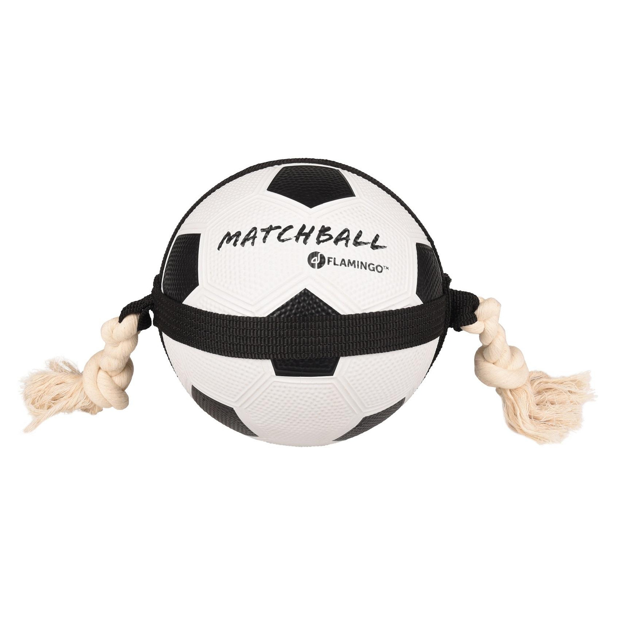 Eden Ballon de football matchball pour chien 20 cm avec corde. Coloris disponibles : Blanc