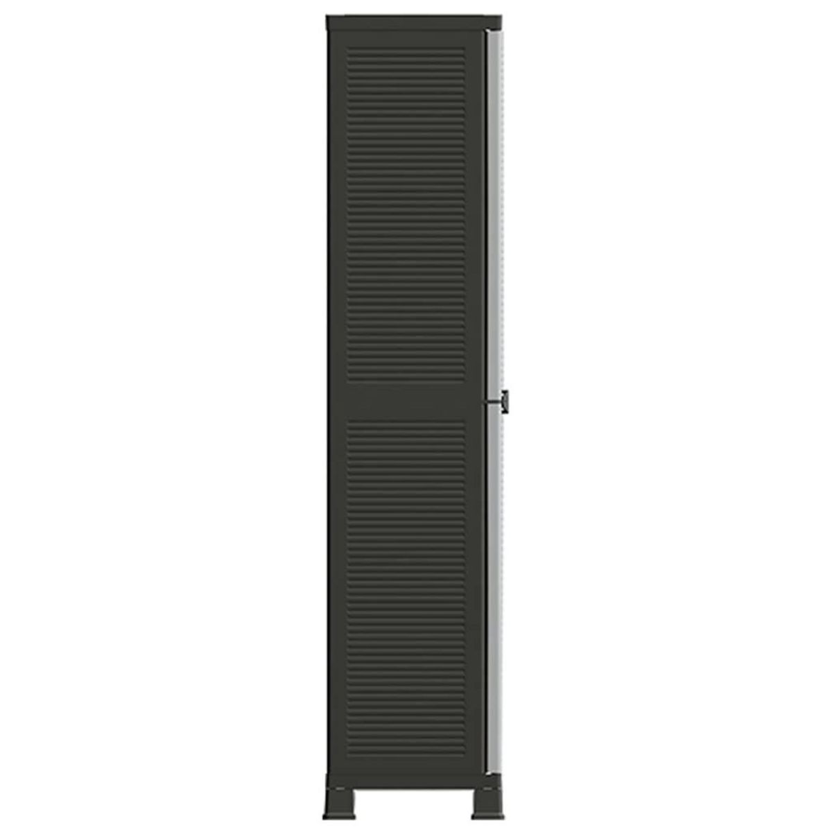 VIDAXL Armoire en plastique 68x39x171,5 cm