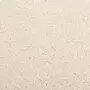 VIDAXL Tapis a poils courts 80x150 cm Creme