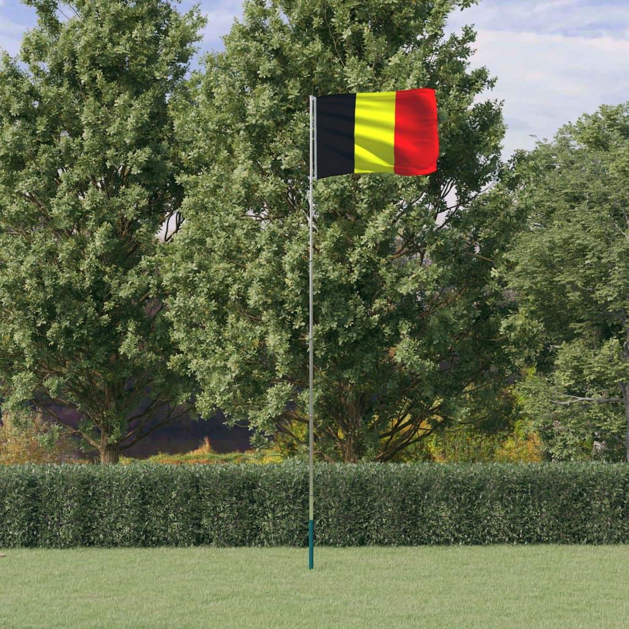 Voir la diapositive 1 : VIDAXL Drapeau de la Belgique et mat 5,55 m Aluminium