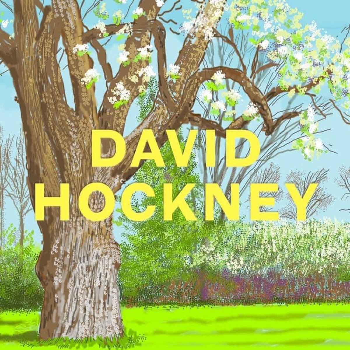 DAVID HOCKNEY. EDITION EN ANGLAIS, Rosenthal Norman