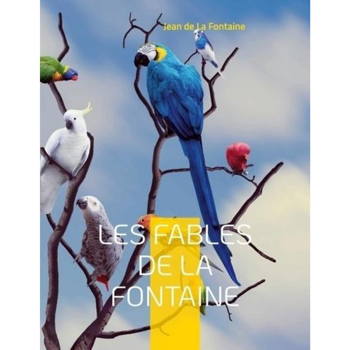 LES FABLES DE LA FONTAINE, La Fontaine Jean de