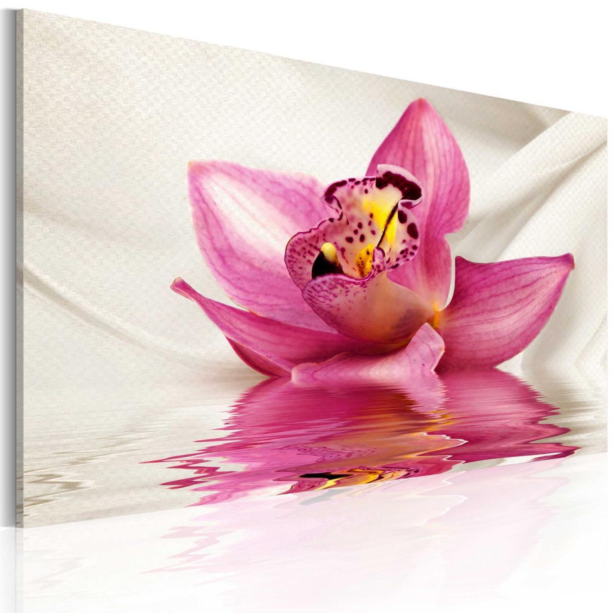 Paris Prix Tableau imprimé  unusual orchid  40x60cm