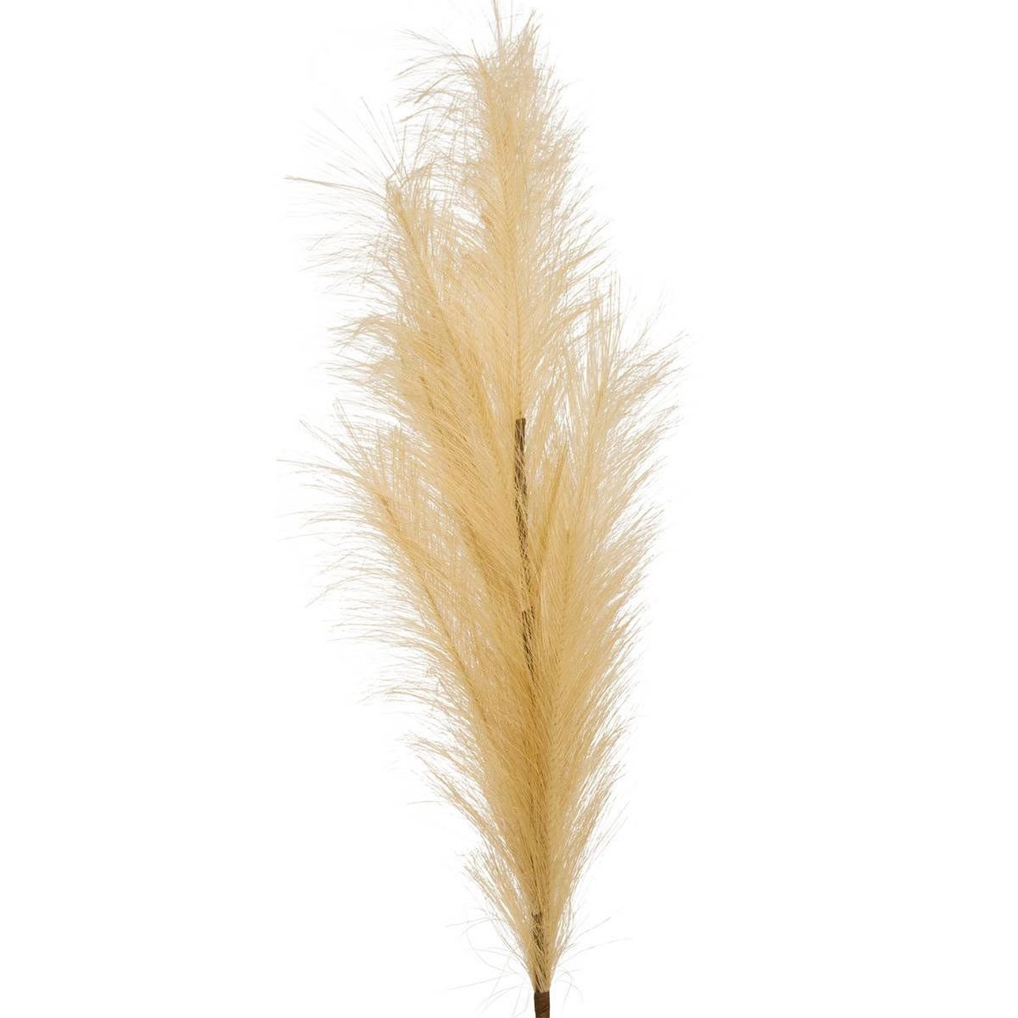 Voir la diapositive 2 : ATMOSPHERA Pampa artificielle  adna  90cm beige