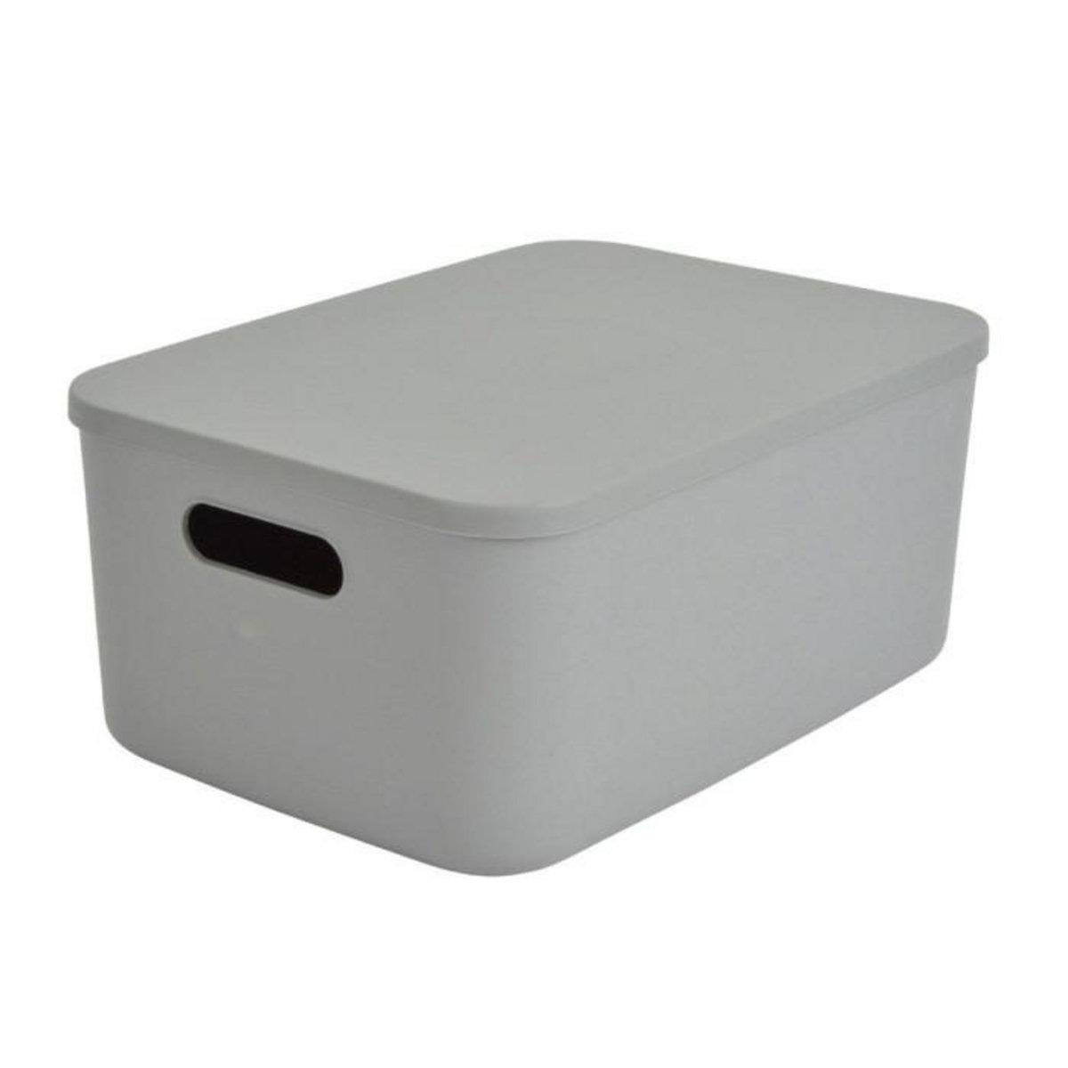 Paris Prix Boîte de Rangement Avec Couvercle  Iris  10,5L Gris