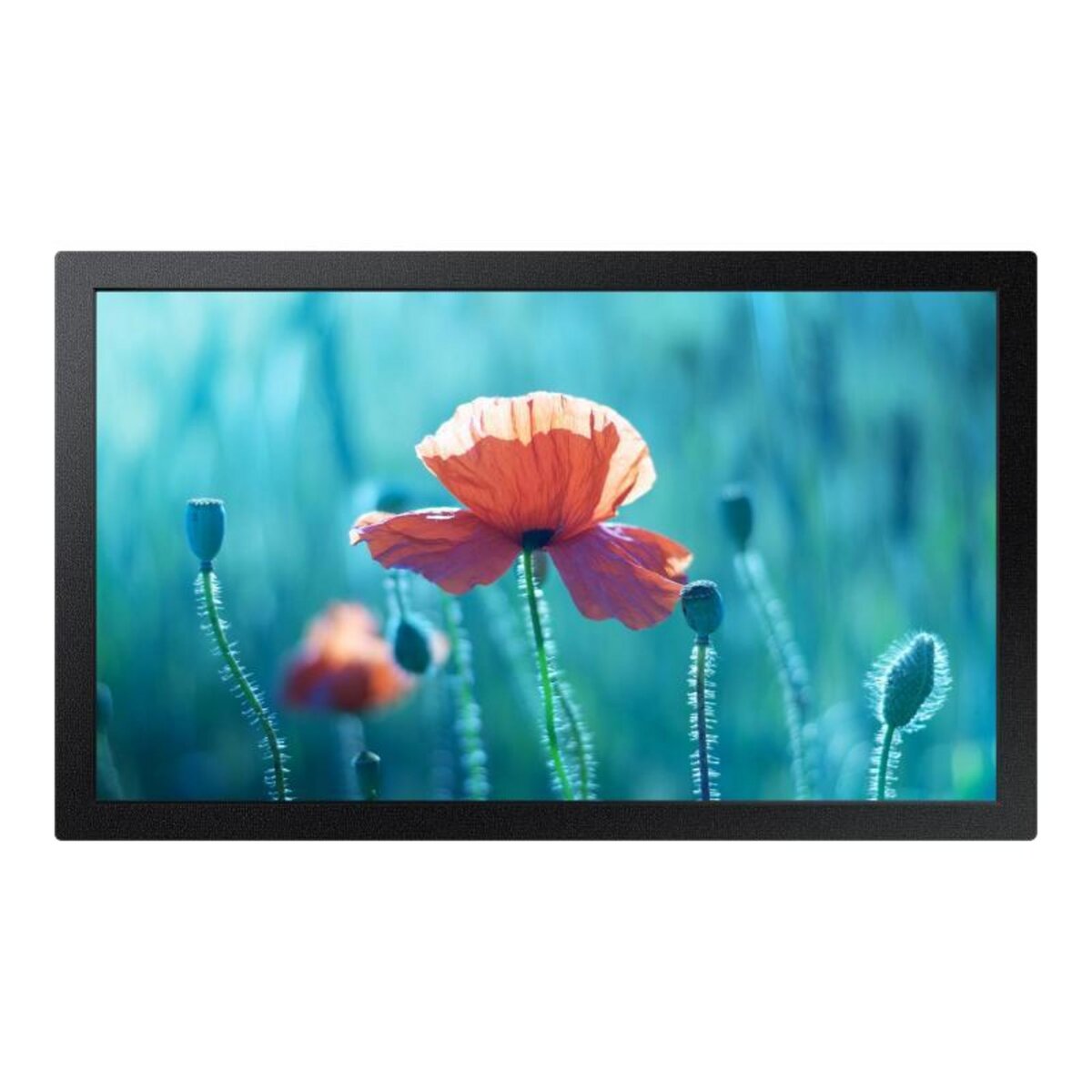 Samsung Samsung Digital Signage QBR Series QB13R-M QB13RM (LH13QBRMBGCXEN)