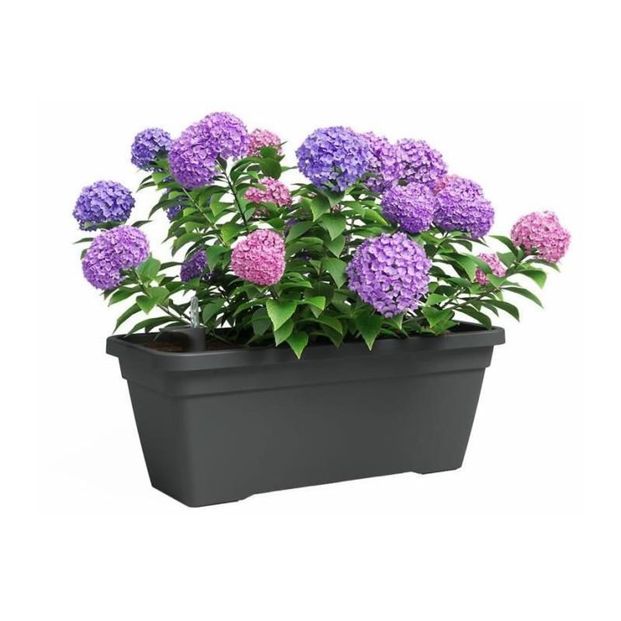 Voir la diapositive 2 : ARTEVASI Jardiniere - Plastique - Anthracite - Rectangulaire - L57,9 x P24,3 x H22cm - ARTEVASI