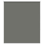 VIDAXL Store enrouleur occultant largeur du tissu 131,6 cm polyester